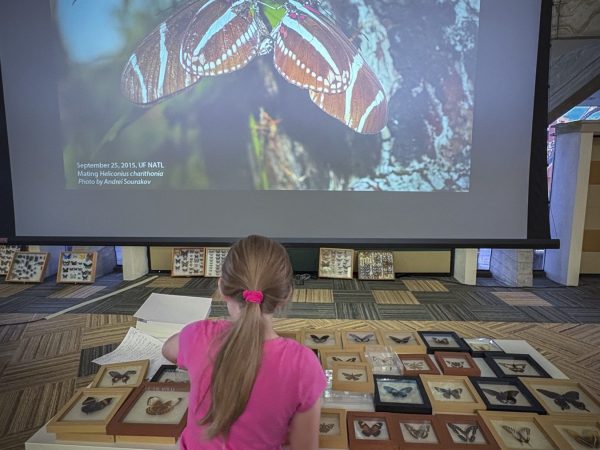IHMC Biology of Butterflies Science Saturday, November 2025