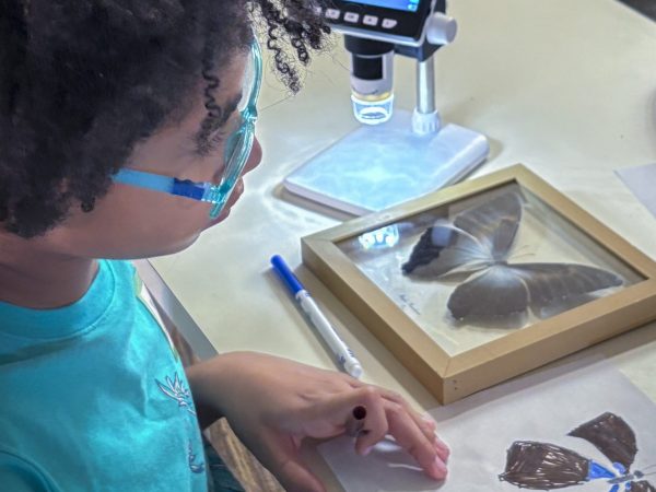 IHMC Biology of Butterflies Science Saturday, November 2025