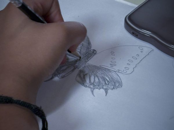 IHMC Biology of Butterflies Science Saturday, November 2025