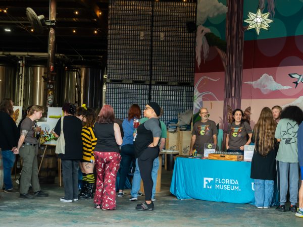 First Magnitude Brewing: Bugs, Bones, and Beers