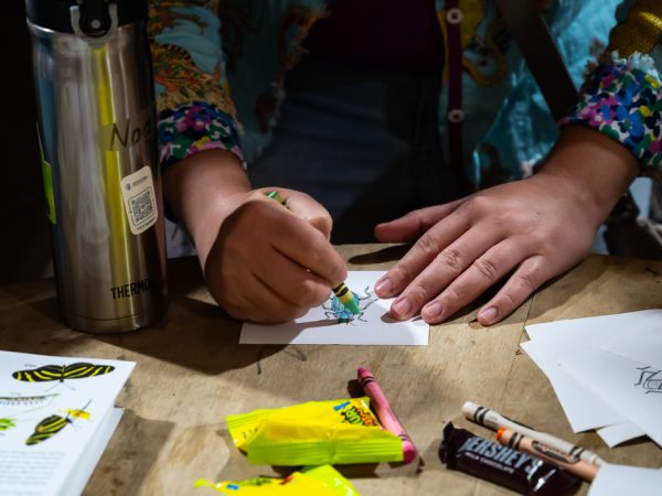 First Magnitude Brewing: Bugs, Bones, and Beers