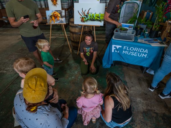 First Magnitude Brewing: Bugs, Bones, and Beers