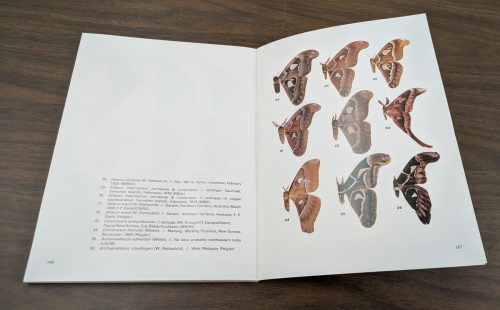 Attacus revision by R.S. Peigler, 1989