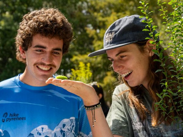 Plants for Pollinators at the Matheson Museum