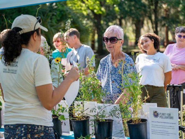 Plants for Pollinators at the Matheson Museum