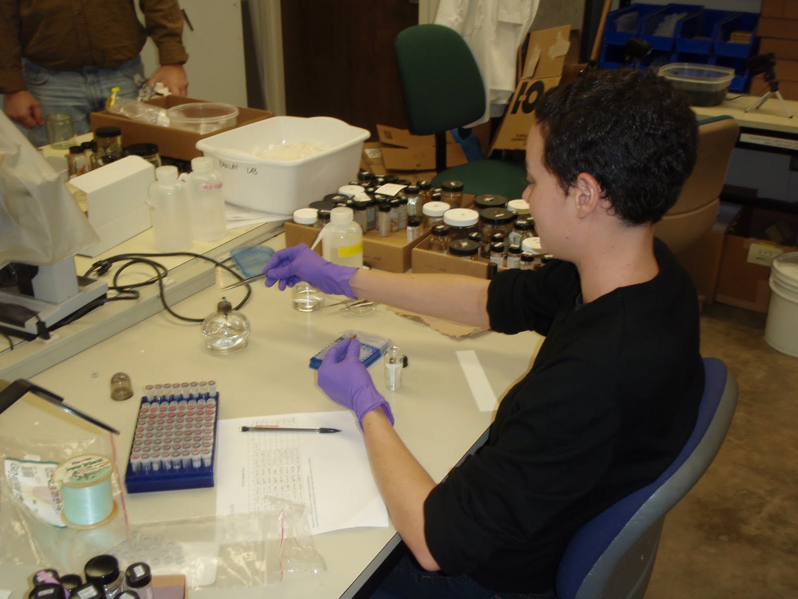 Jenna loading a DNA plate