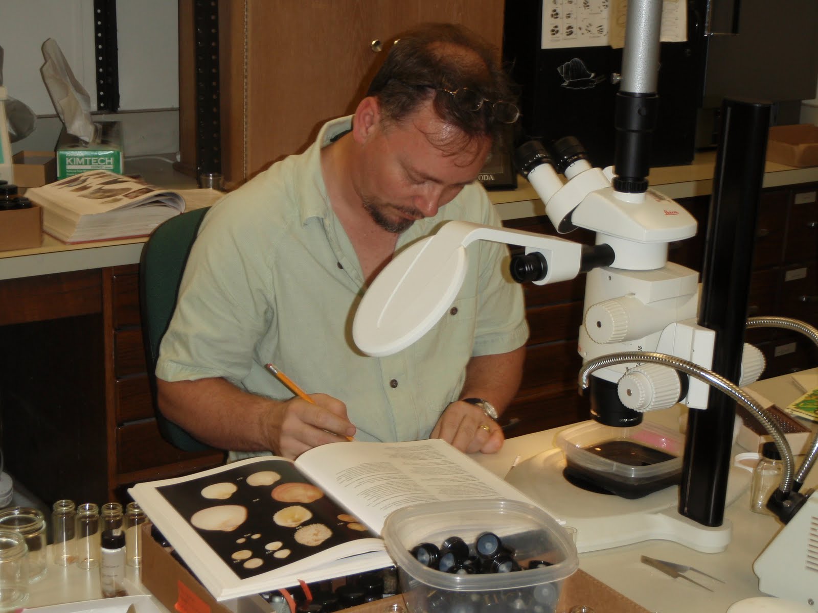 John using a book to identify bivalves