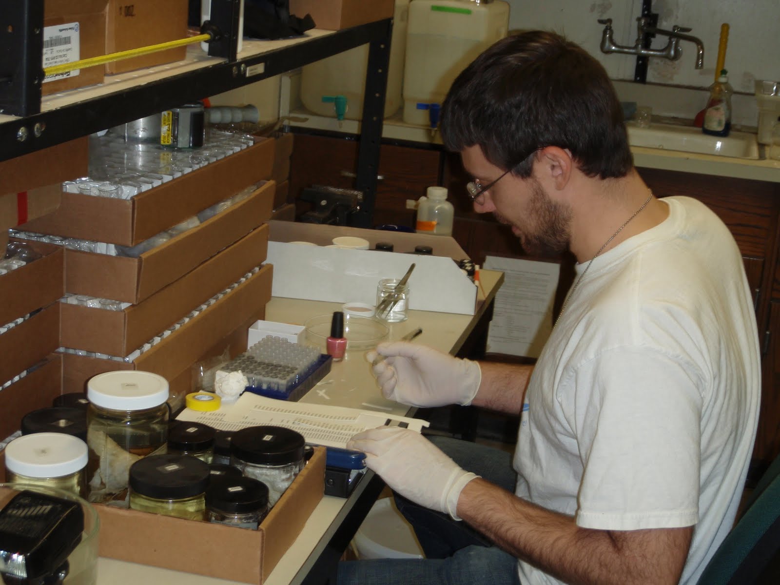 Nat subsampling specimens