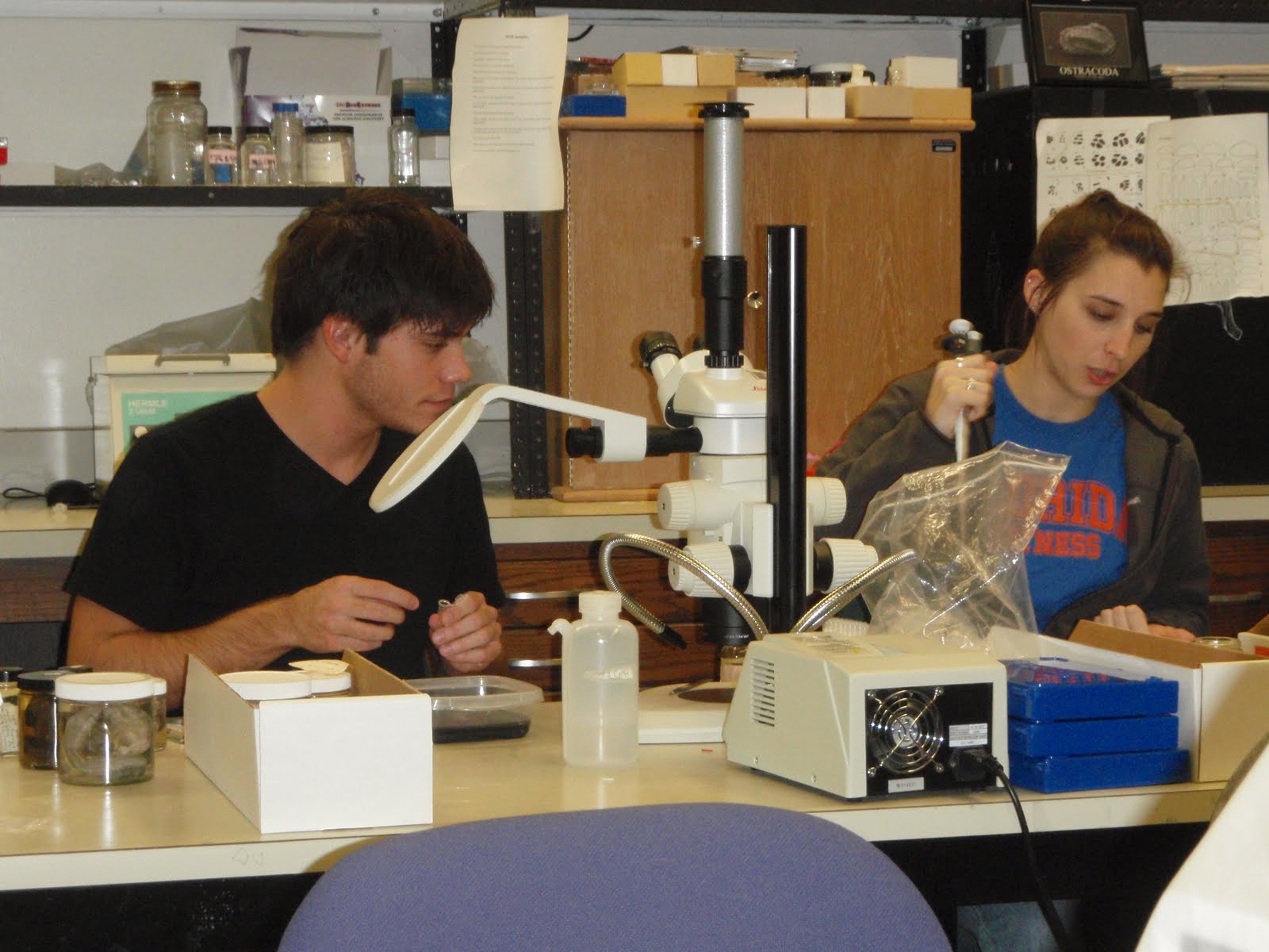 JD and Laura at a desk with specimens. Laura has a pipette.