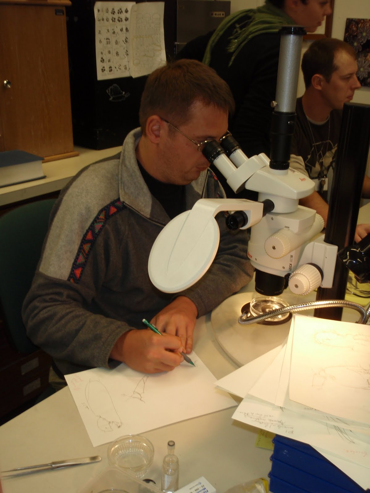 Art using a microscope with mirror attachment to draw a specimen detail.