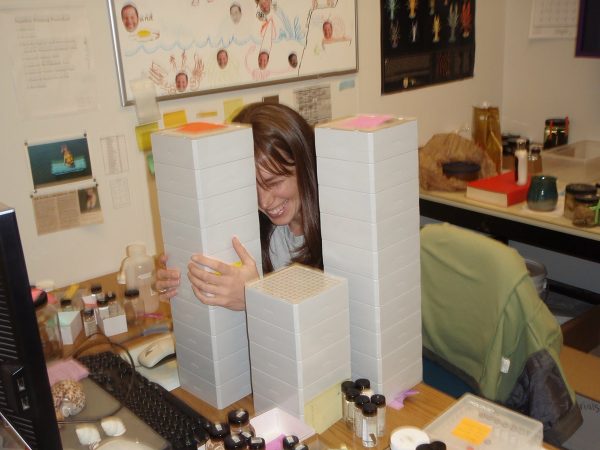 Mandy at her desk with several stacks of boxes of DNA tubes