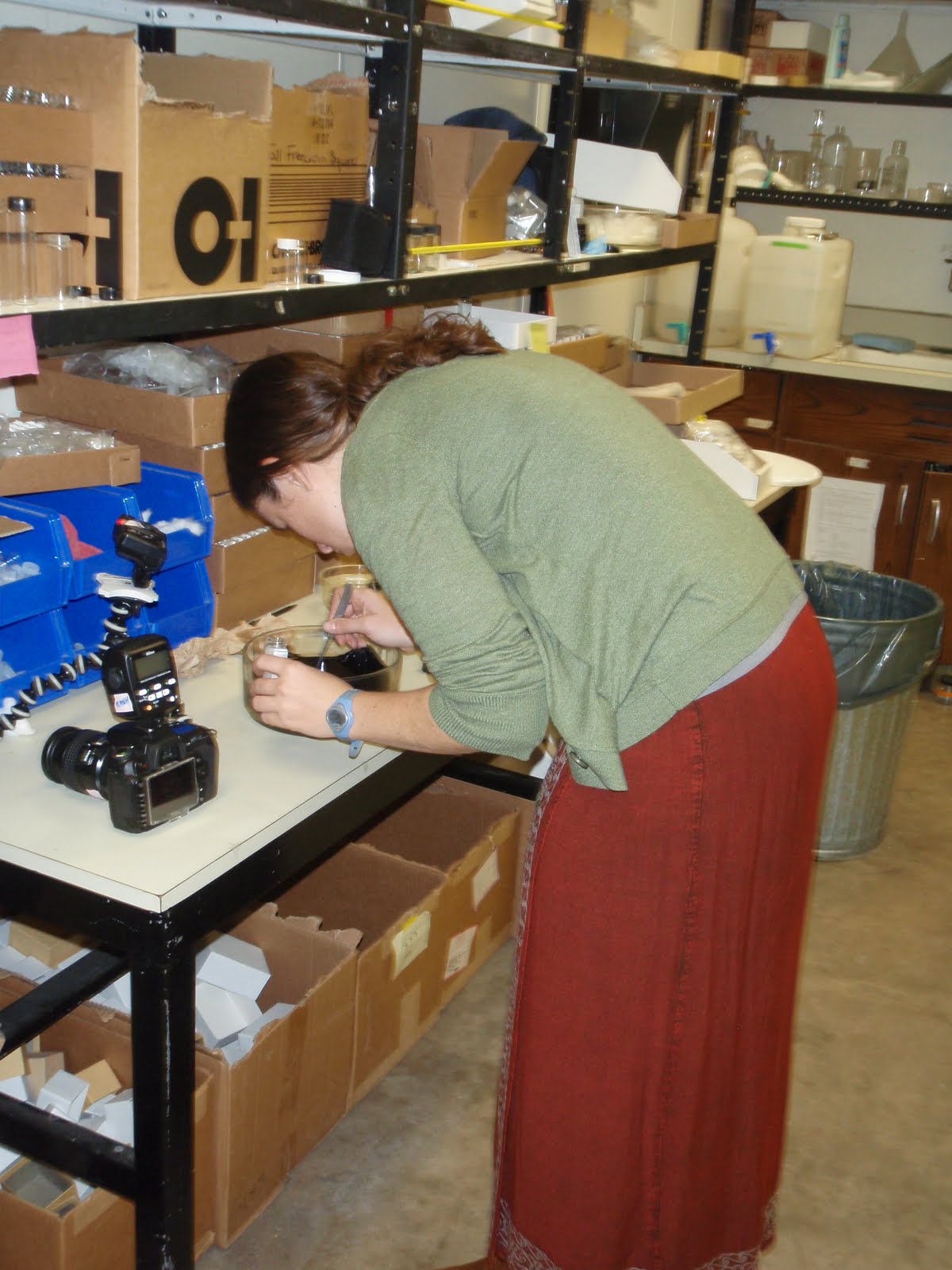 Sarah positioning a small animal in a bowl for photographing