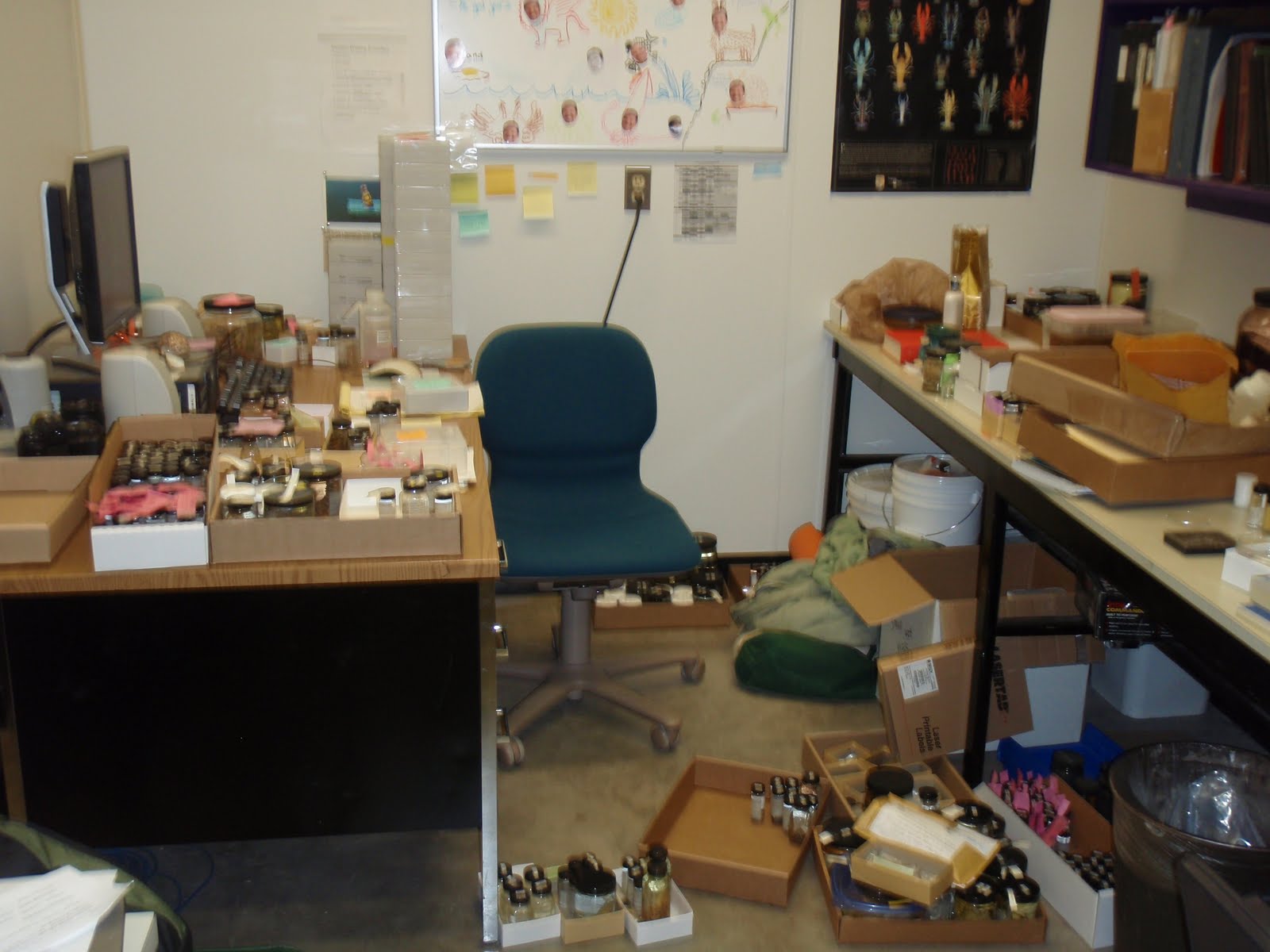 Photo of my desk with boxes and specimens everywhere