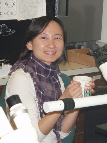 Hsiu at workstation with coffee mug