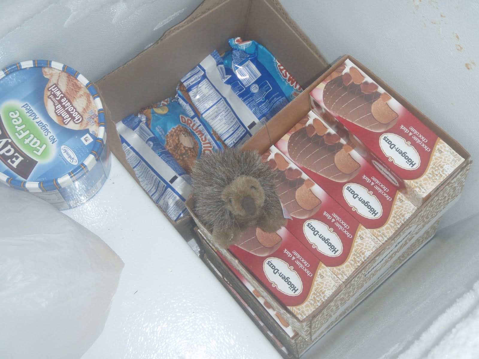 ice cream stash with Jenna's stuffed animal echidna