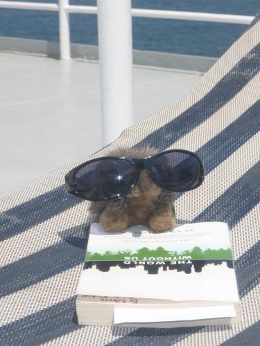 stuffed animal echidna on a beach chair with sunglasses on and a book