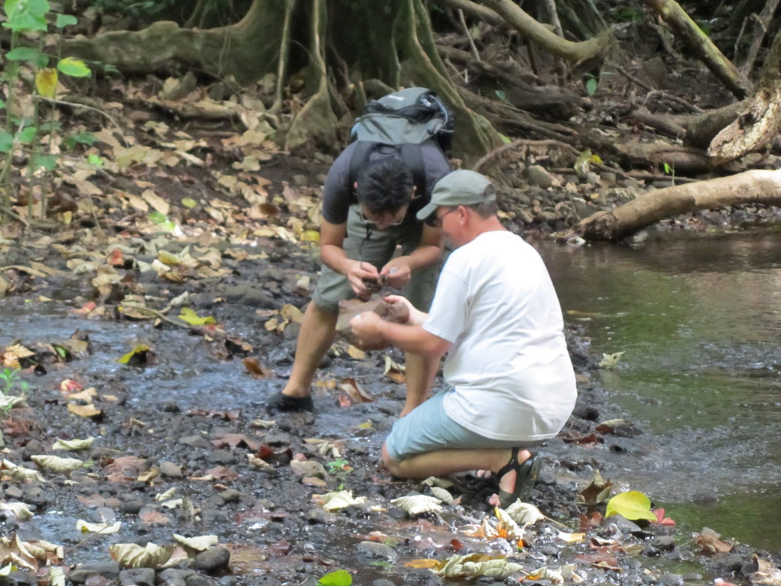 John and Yasunori studying something at the edge of a stream