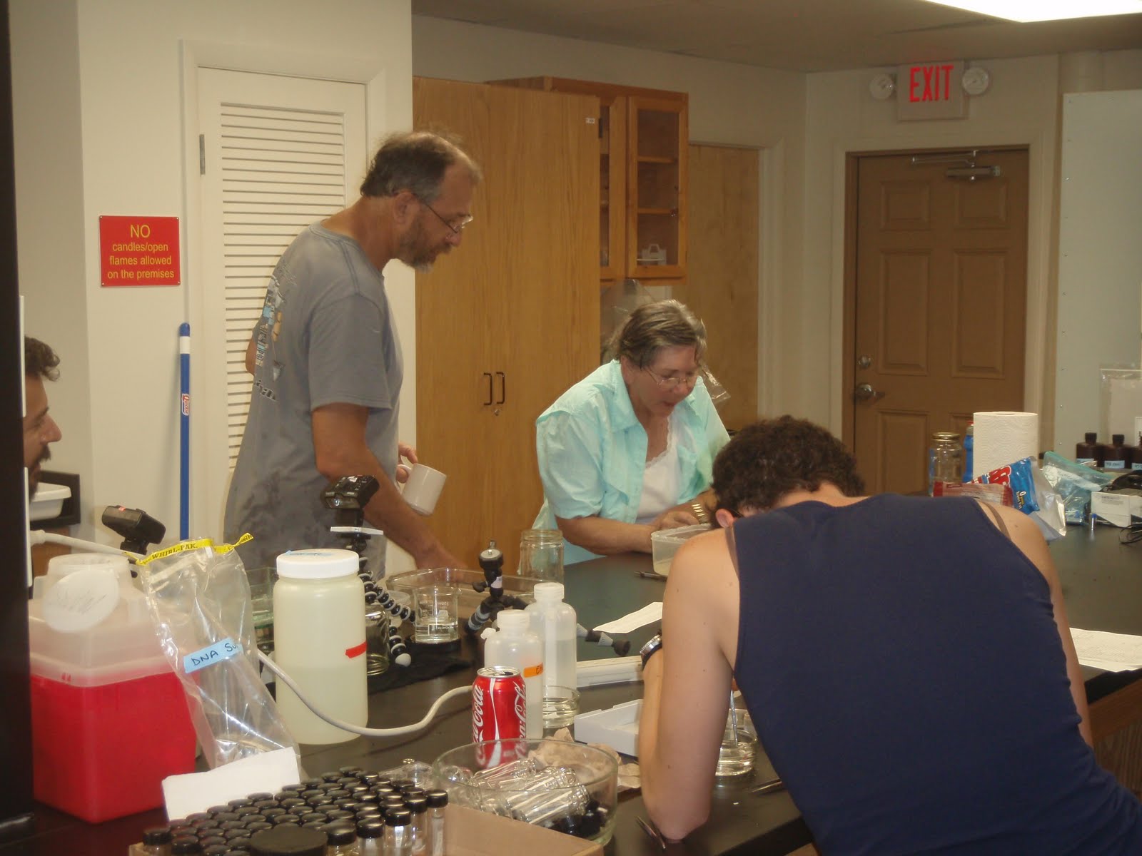 Gustav, Anne, and Jenna working in the lab