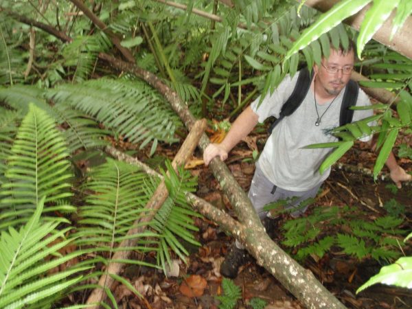 John in dense foliage, shot from upslope