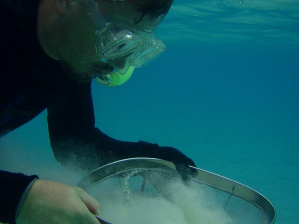 close up of John sieving sand while snorkeling on the surface