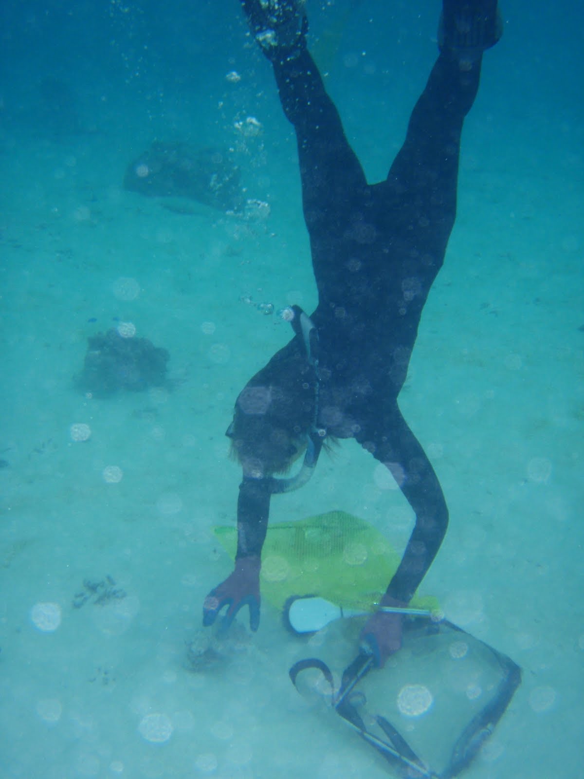 Mandy snorkeling upside down to get something from the bottom
