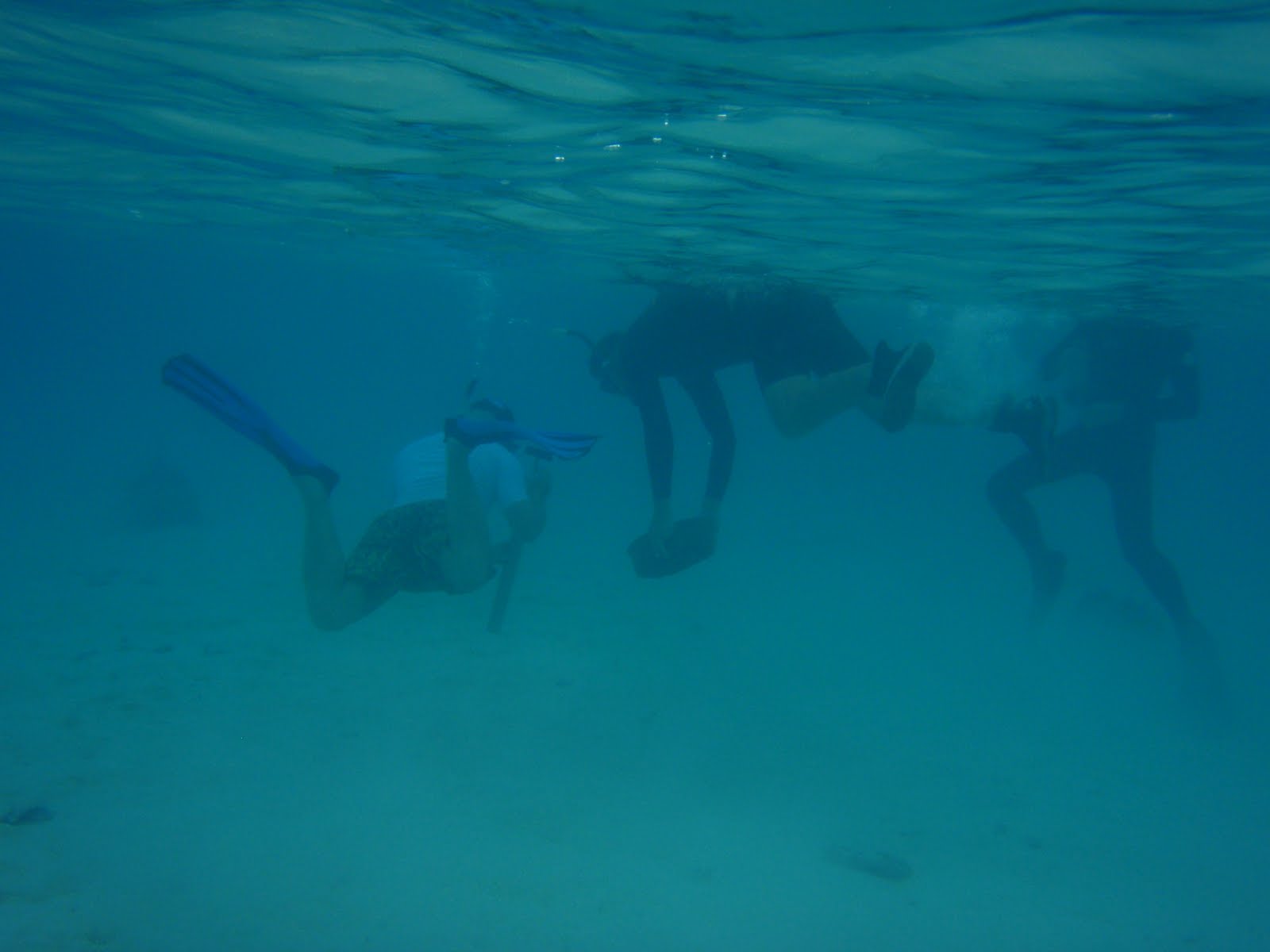 Sea and Art (and and unknown person)with the pump and sieve, snorkeling near the surface