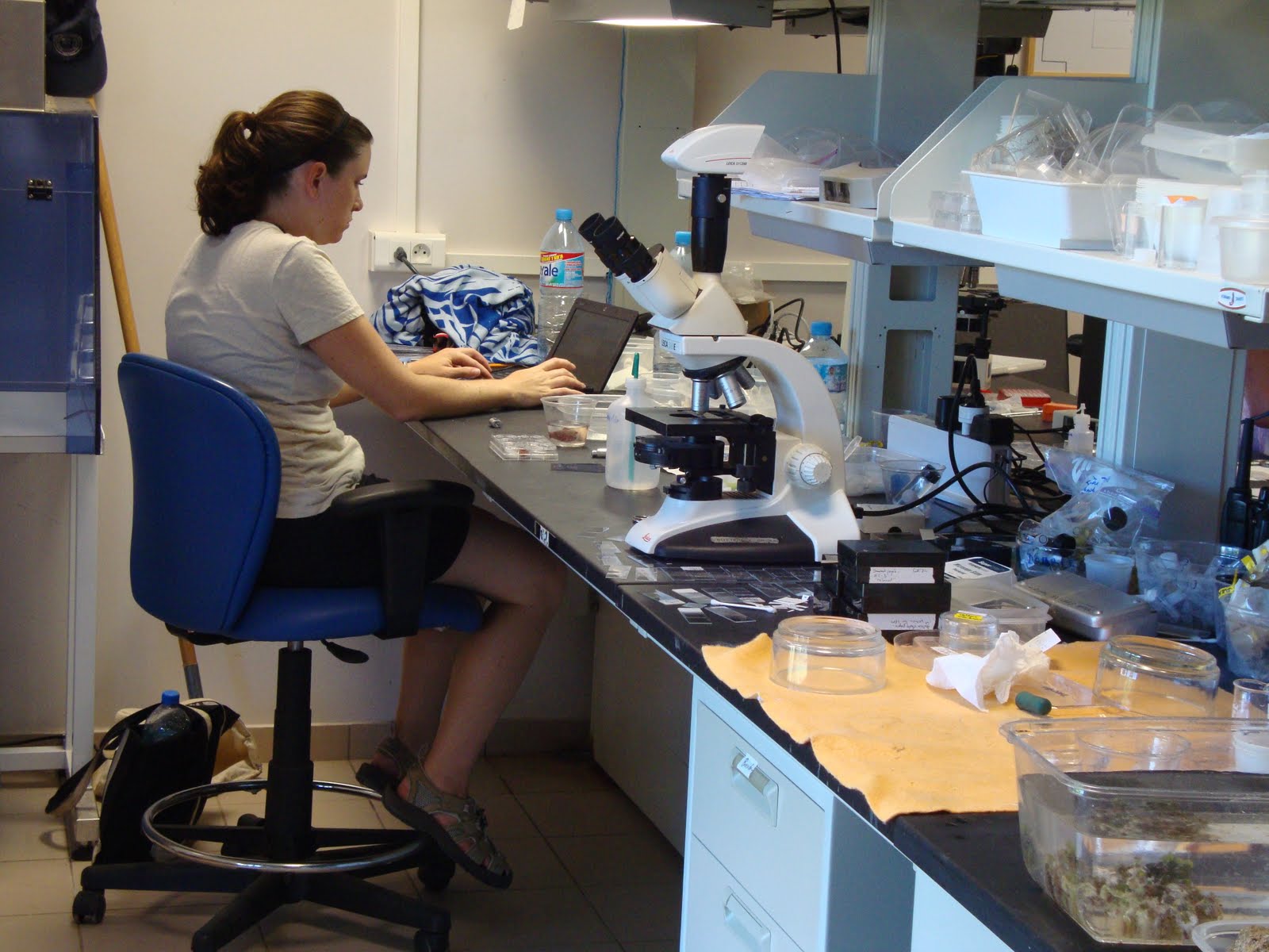 Sarah in the lab in Moorea