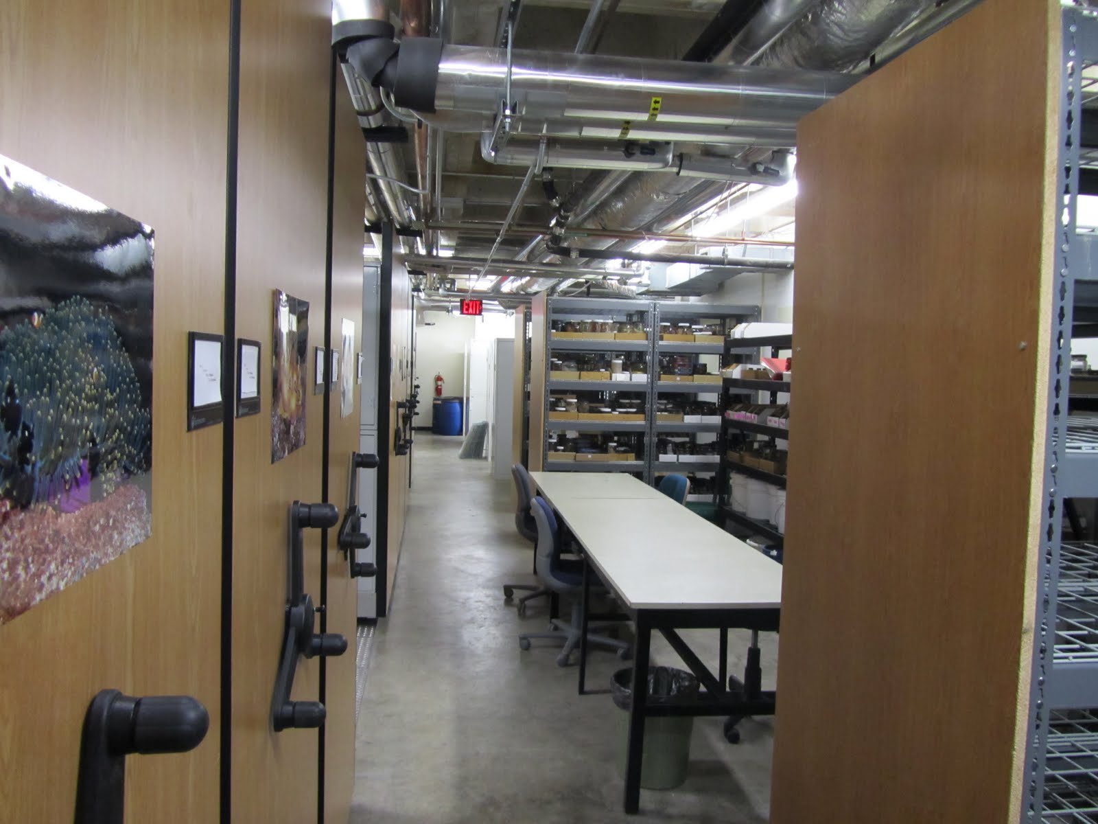 our storage compactors and shelving with a long empty table between