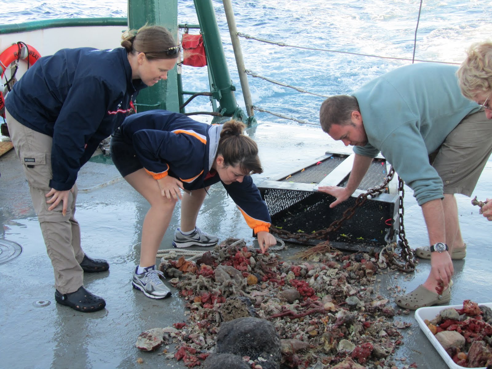 Anna, Brendan, and Nicole looking over a pile of sponges on the boat deck