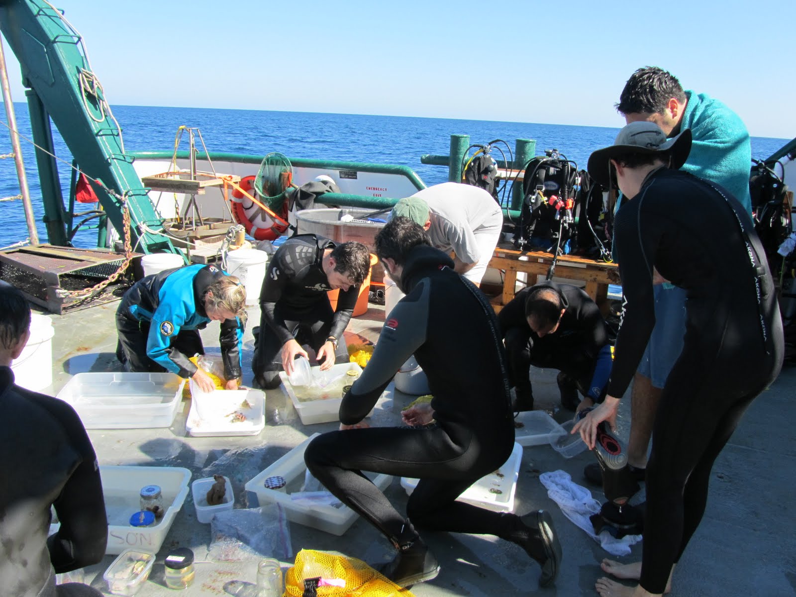 everyone sorting specimens on deck after a dive