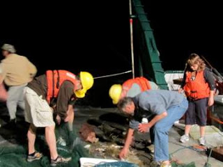 scientists in life vests and hard hats on deck at night sorting through trawl haul