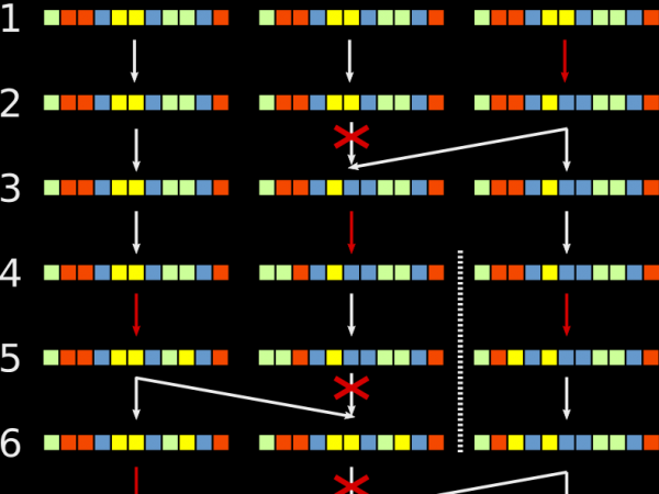 incomplete lineage sorting