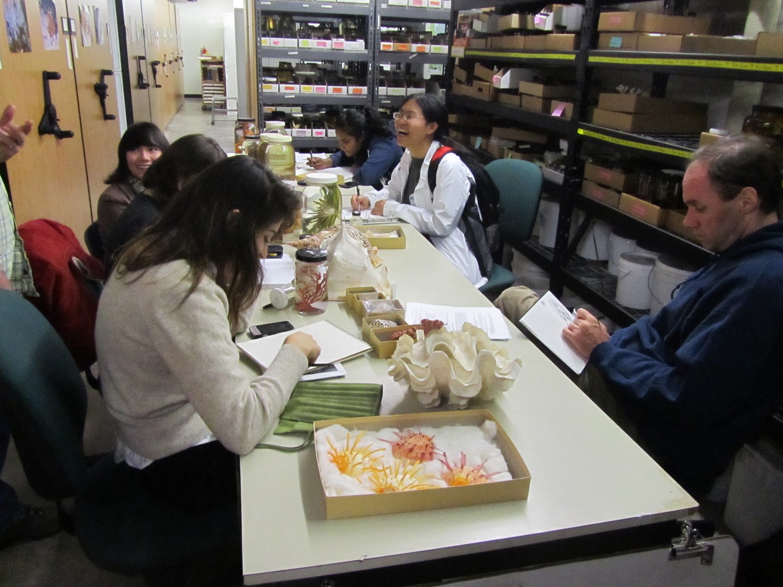 art students gathered around a table in the range with some attractive specimens including a giant clam and some yellow and orange spiked bivalves
