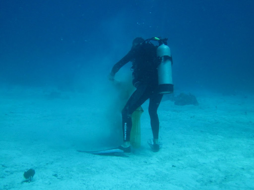 scientist sand sifting underwater