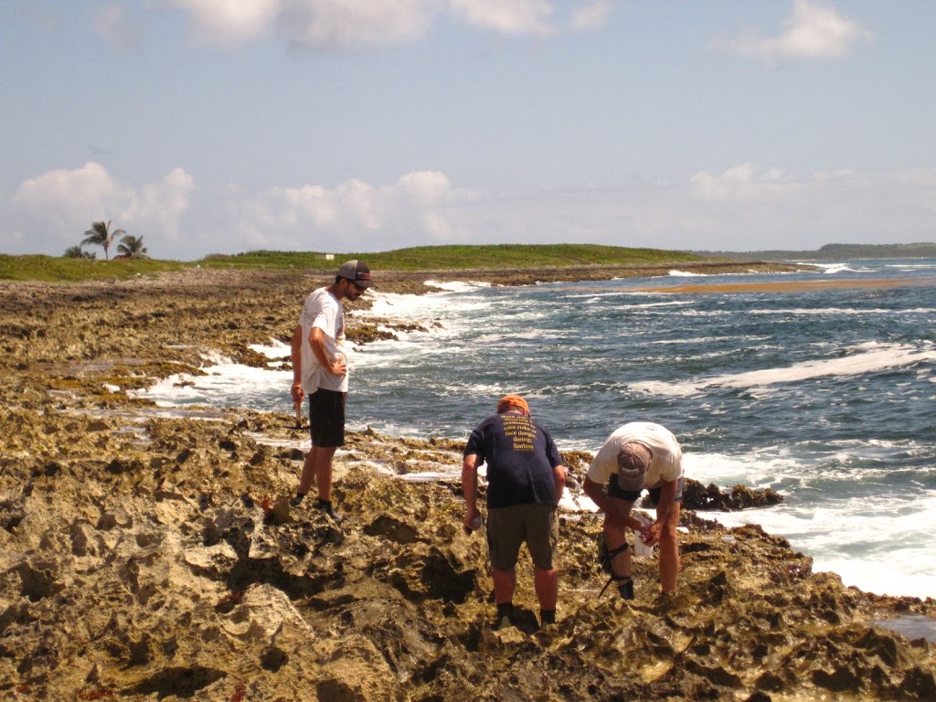 scientists collecting samples