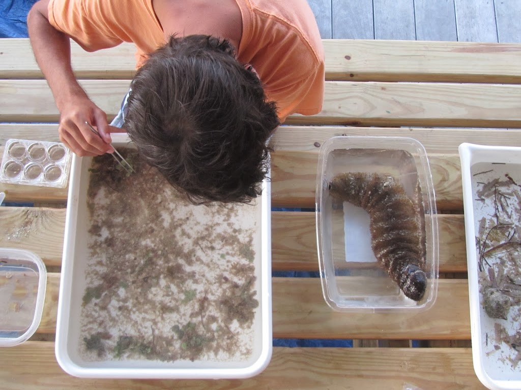 François examining samples