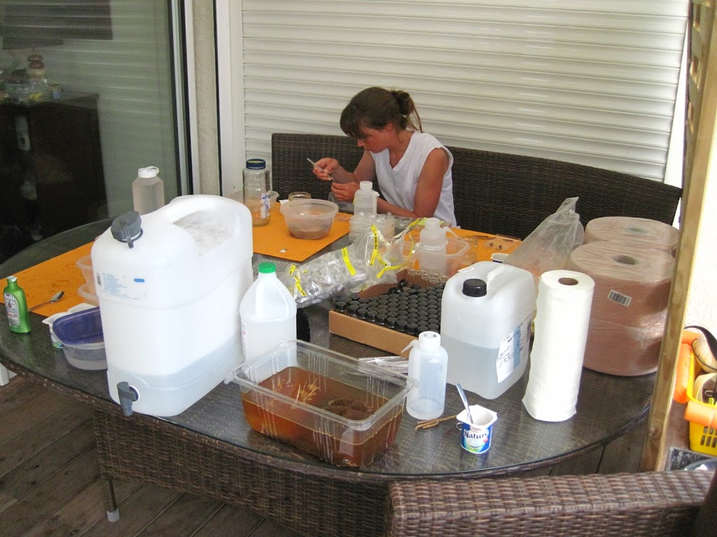 Mandy processing specimens