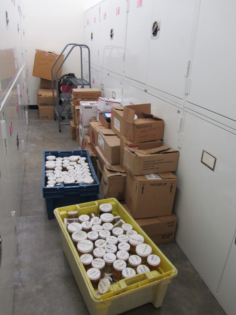 boxes and bins of jars next to our white metal specimen cabinets