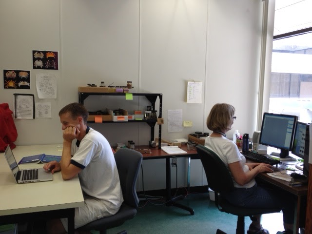 Jeannie and Patrick working back to back at their computers. Patrick with chin in hand.