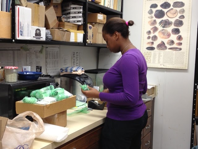 Adania wrapping loan specimens in bubble wrap