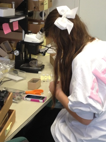 Nicole labeling snails