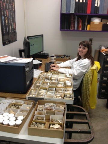 Elizabeth seated at a computer cataloging the deVry collection