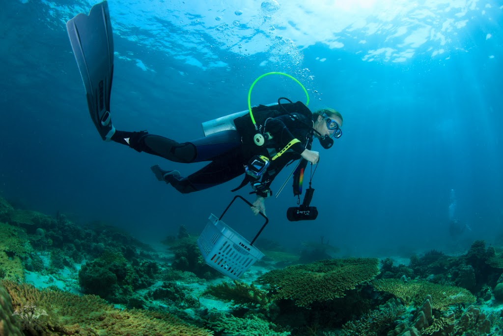 KAUST doctoral candidate Jessica Bouwmeester shops the reef for new species of coral. Photo courtesy Tane Sinclair-Taylor.