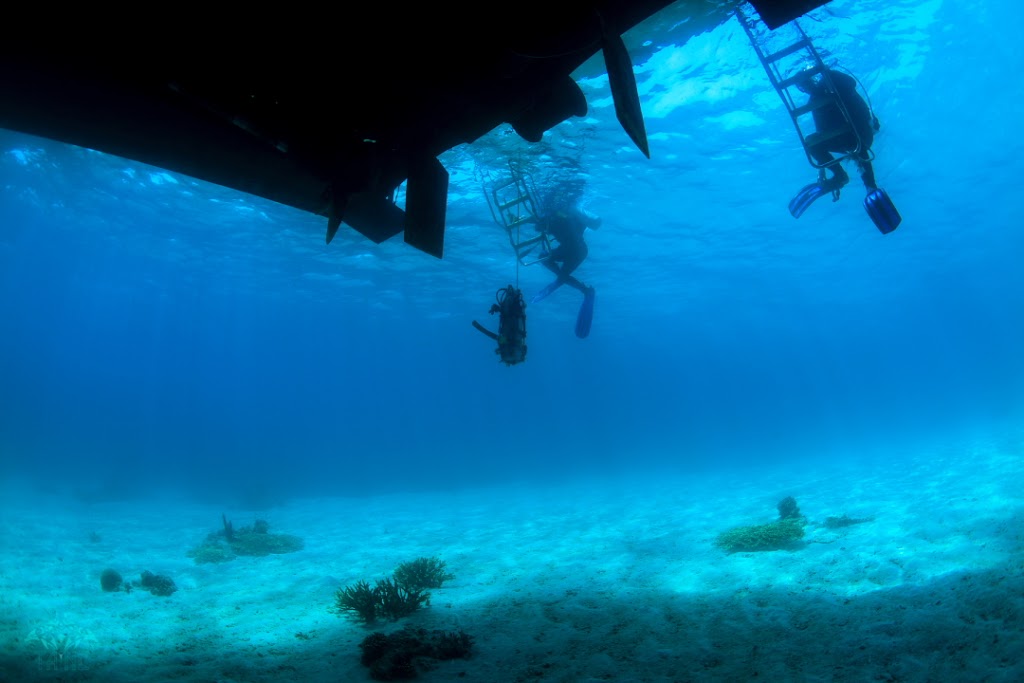 A welcome sight after a long day of diving; the entrance to our floating home. Photo courtesy Tane Sinclair-Taylor.