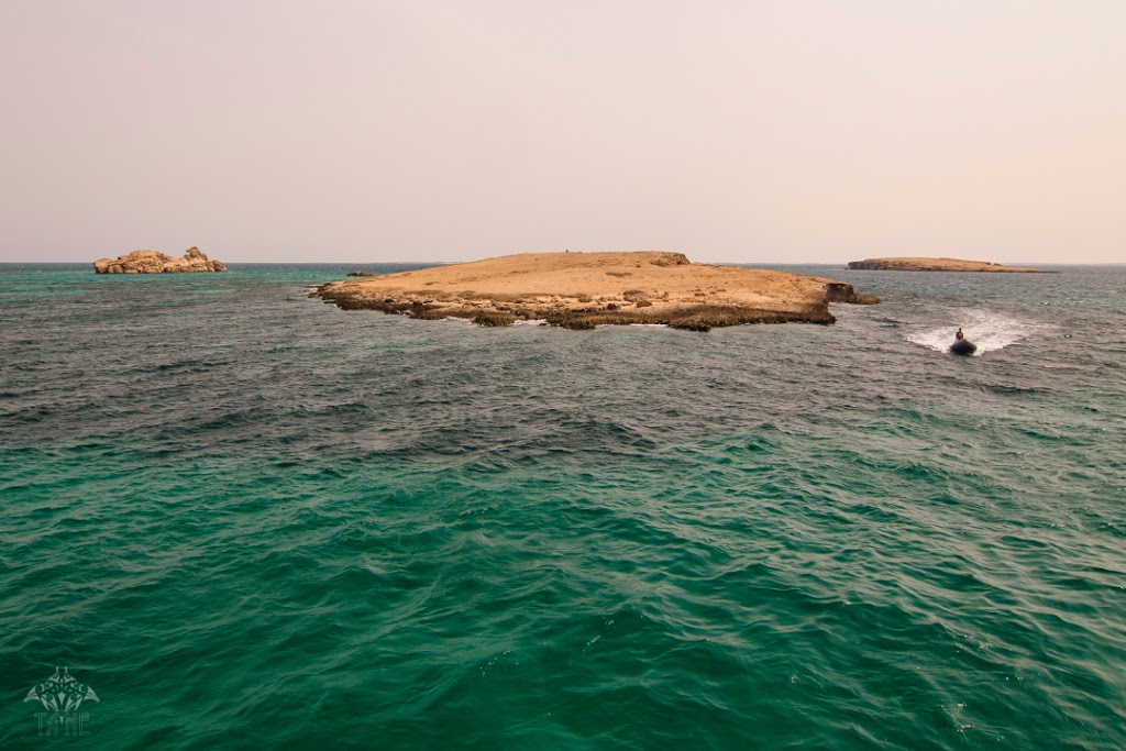 Numerous fossilized limestone islands and aragonite cays dot the marine landscape of the Farasan Bank. Photo courtesy Tane Sinclair-Taylor.