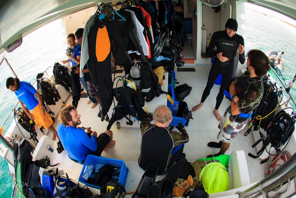 Gearing up: cruise scientists prepare for another rigorous day on the water. Photo courtesy Tane Sinclair-Taylor.