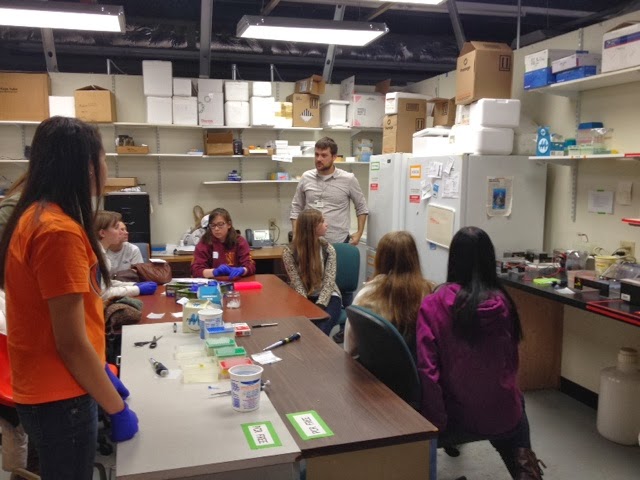 Nat and Jennifer teaching students about PCR