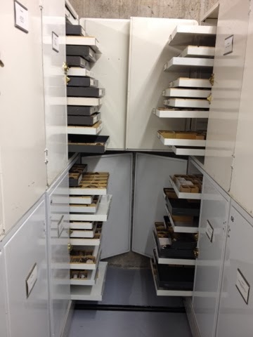 specimen cabinets