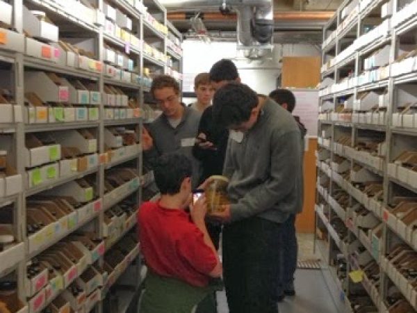 students exploring the collection