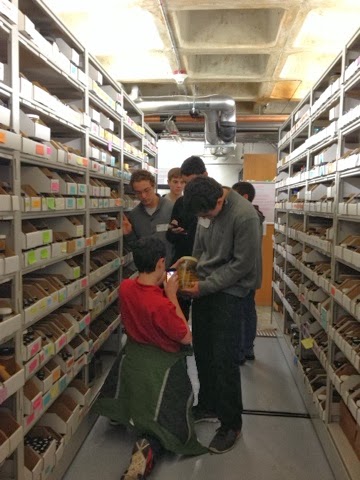 students exploring the collection